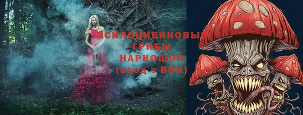 мет Протвино