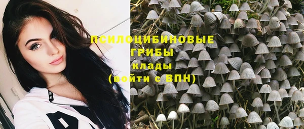 спиды Абаза
