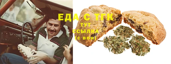 мет Протвино